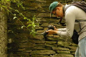 Zachary Stockmal photographs details of the Dennis Farm barn stone wall during the summer of 2013. (Photo by Justin Wu.)