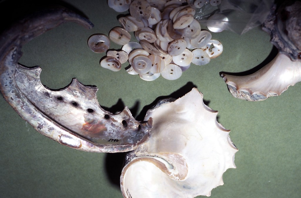 Abalone and conch shell button blanks and buttons recovered during the construction of the Independence National Historical Park Visitor Center (now the Independence Living History Center) on South Third Street. The site was the location of a button factory from ca. 1850-1880. (Photo courtesy of Independence National Historical Park, taken in the early 1970s.) 