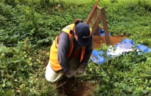 shofuso garden archaeology